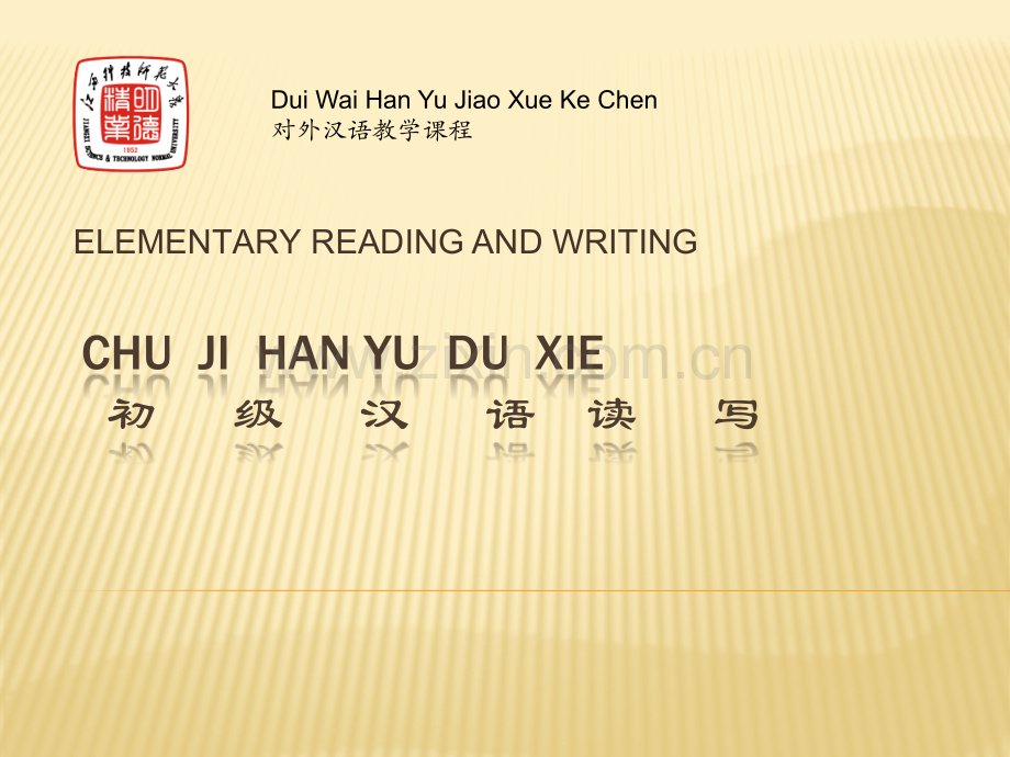 初级汉语教学.pptx_第1页