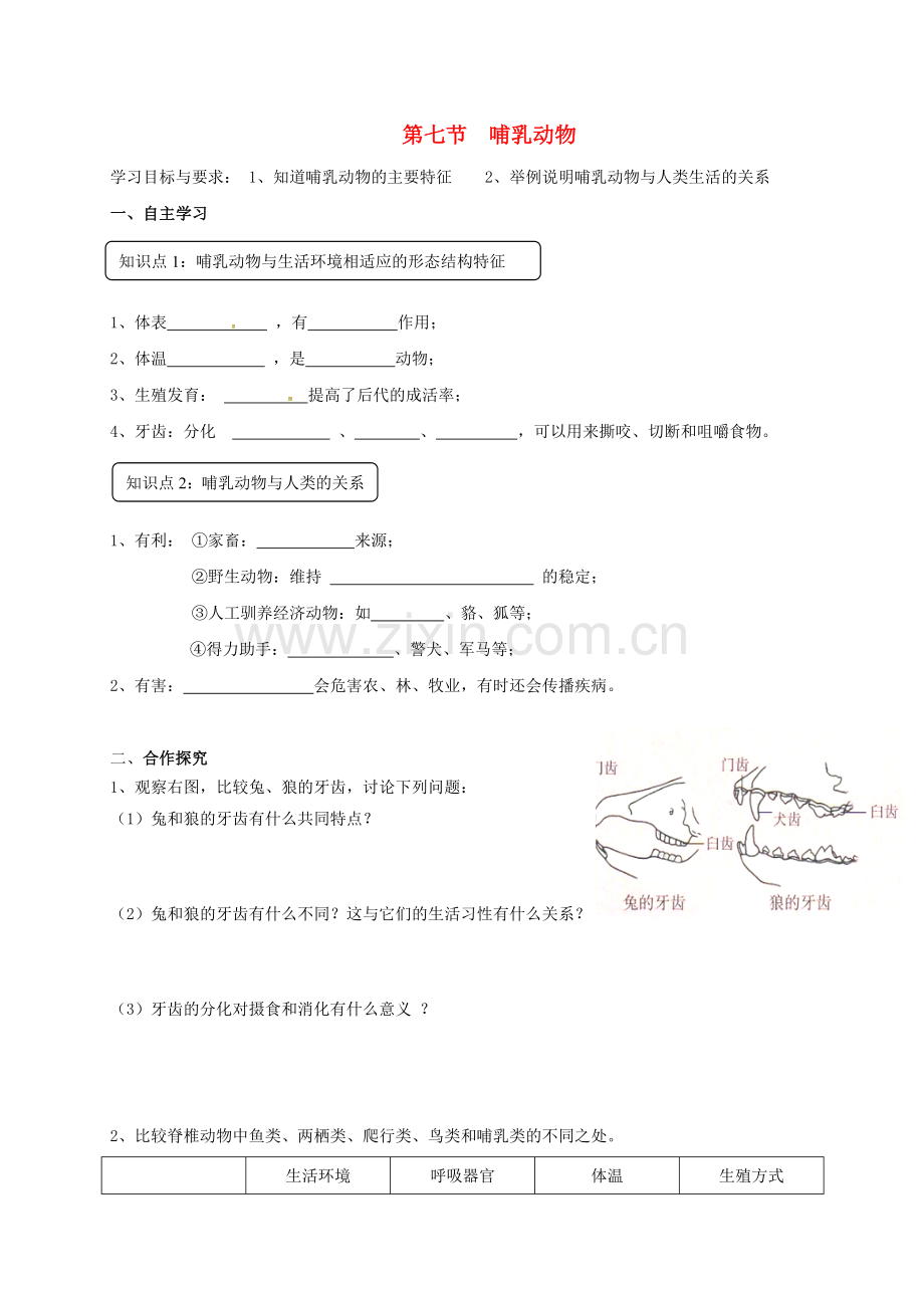 八年级生物上册-5-1-7-哺乳动物导学案(无答案)(新版)新人教版.doc_第1页
