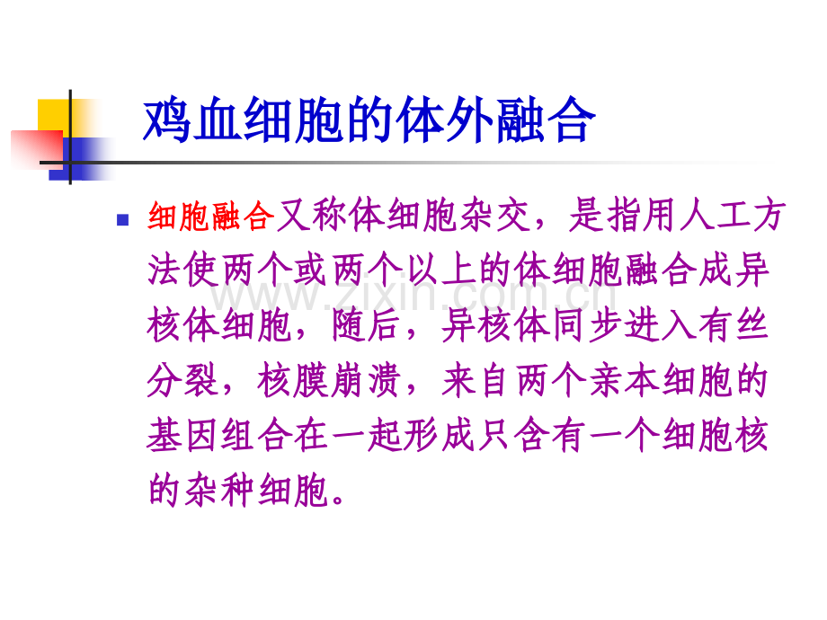 细胞融合定稿.pptx_第1页
