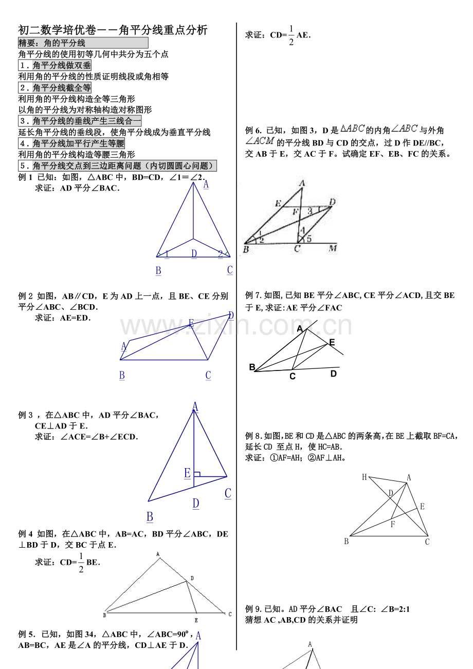 初二数学培优卷全等三角形中角平线的重点分析1.doc_第1页
