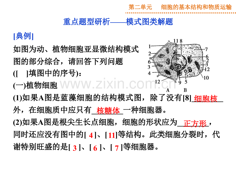 高三生物广东专用一轮复习优化总结人教版.pptx_第2页