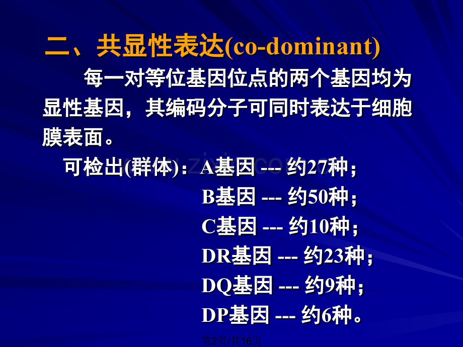 HlA多态性遗传基础.pptx_第2页