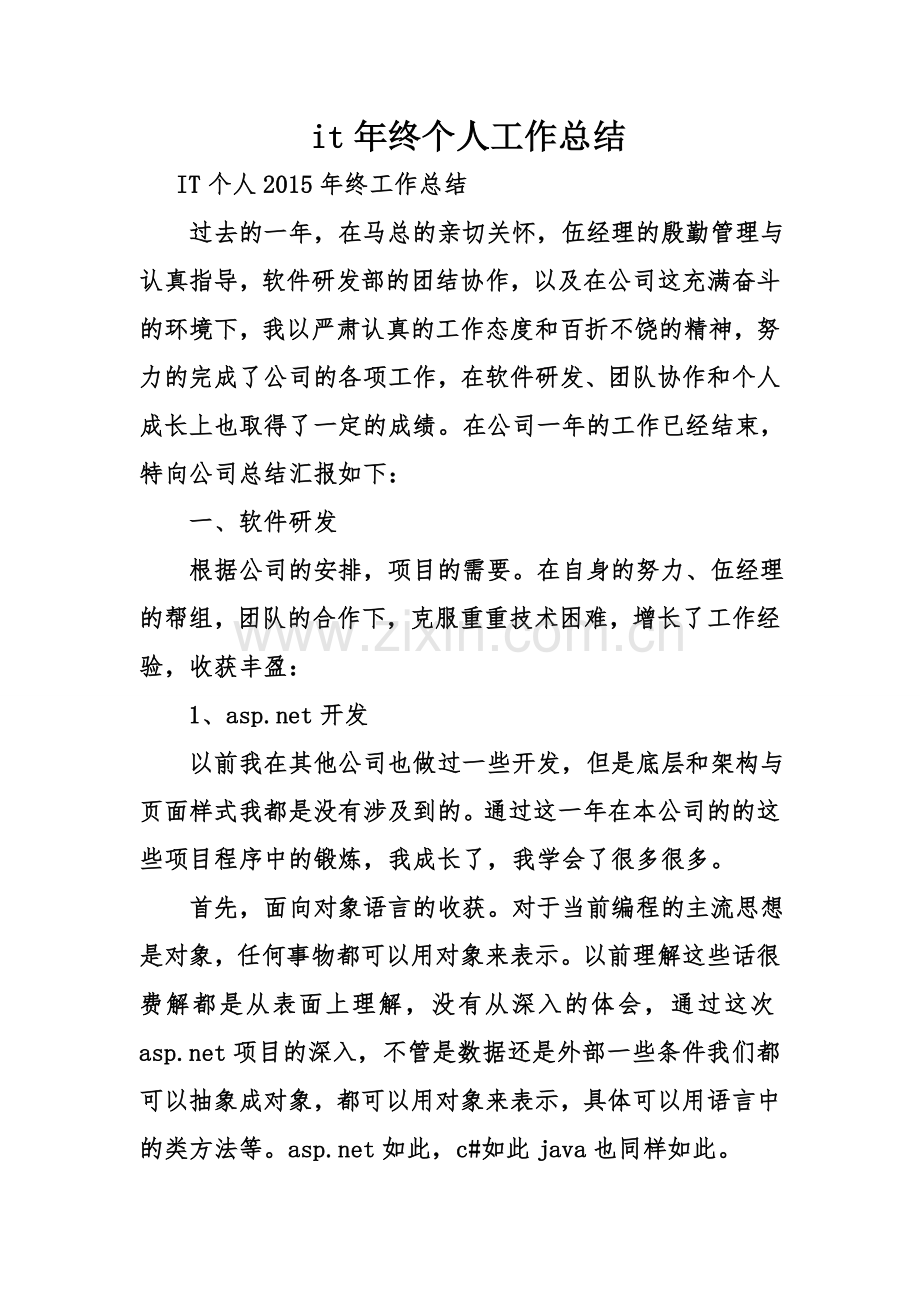 it年终个人工作总结.doc_第1页