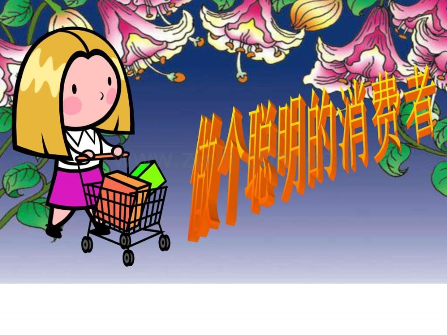 做个聪明的消费者图文.pptx_第2页
