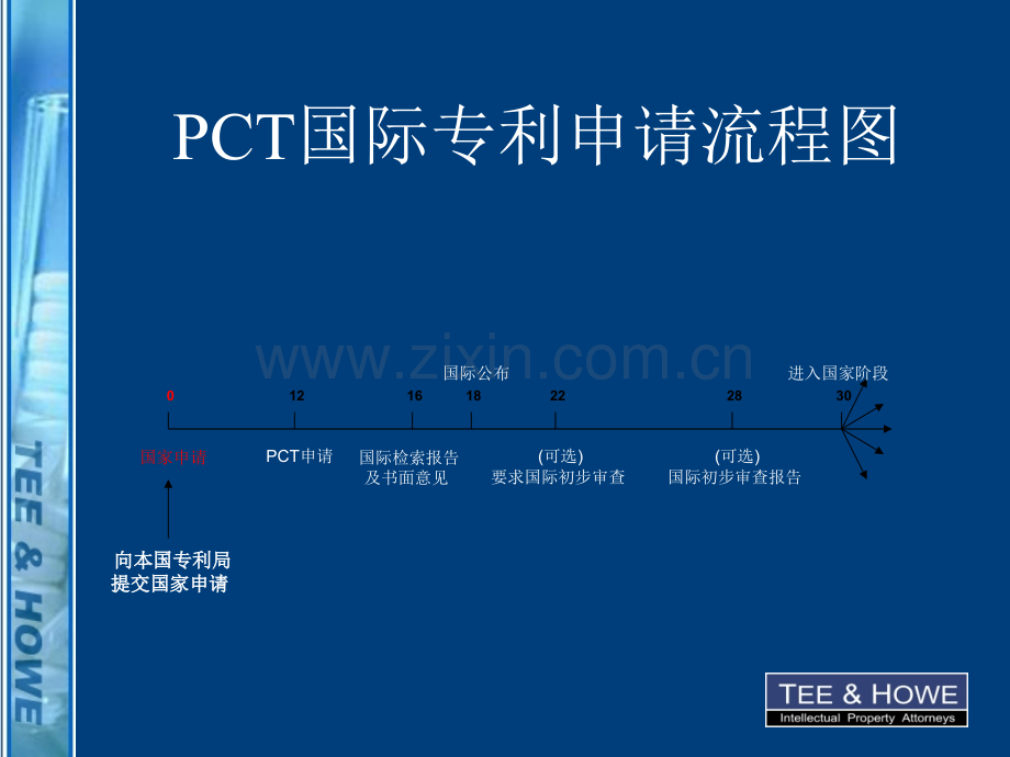 PCT国际申请.pptx_第2页
