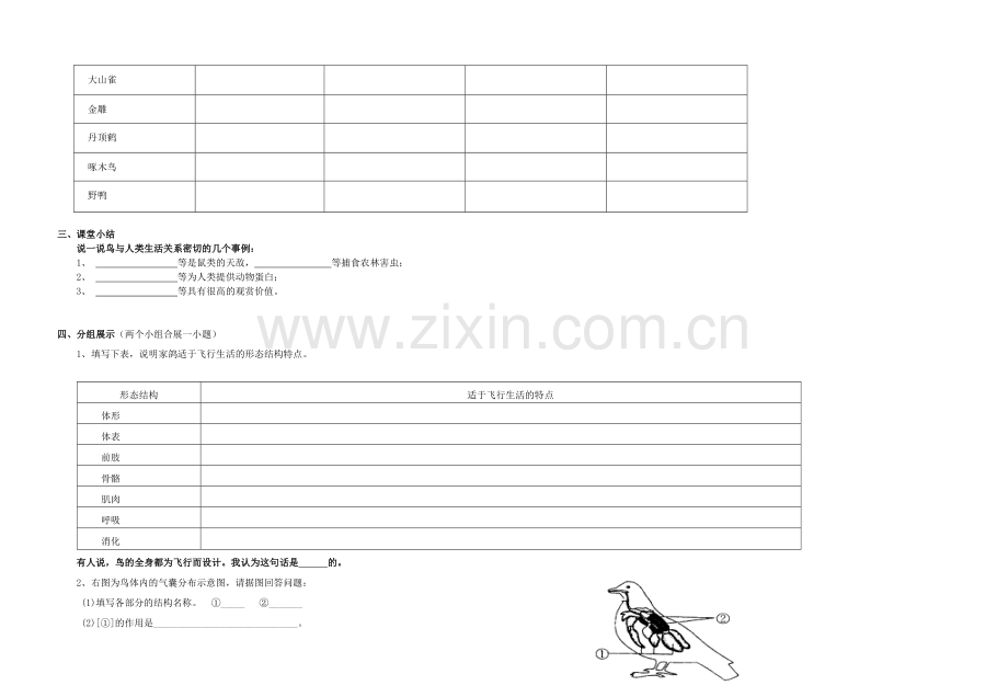 八年级生物上册-516-鸟导学案无答案新版新人教版1.doc_第2页