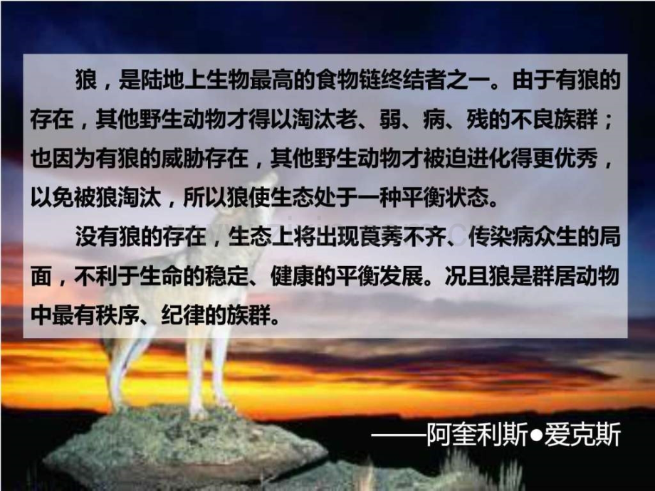 狼的智慧狼性管理.pptx_第2页