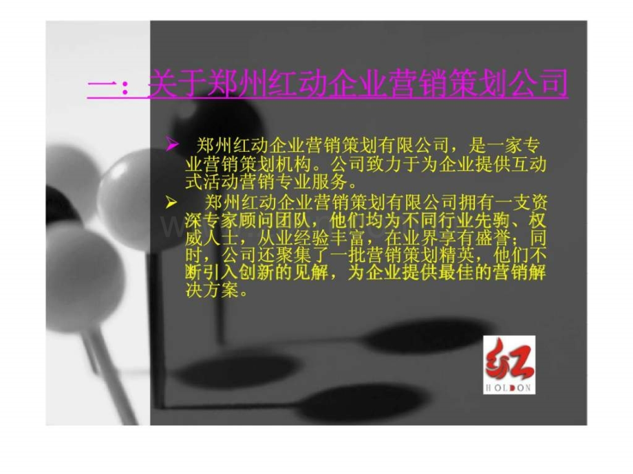p洛阳巴贝拉餐厅宣传推广策划案.pptx_第2页