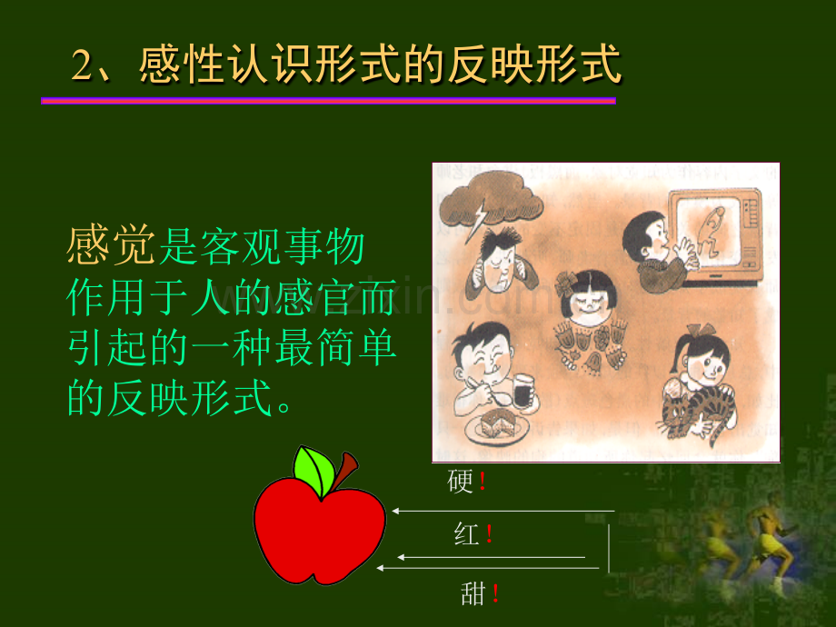 高等教育认识的过程及其内在机制.pptx_第2页