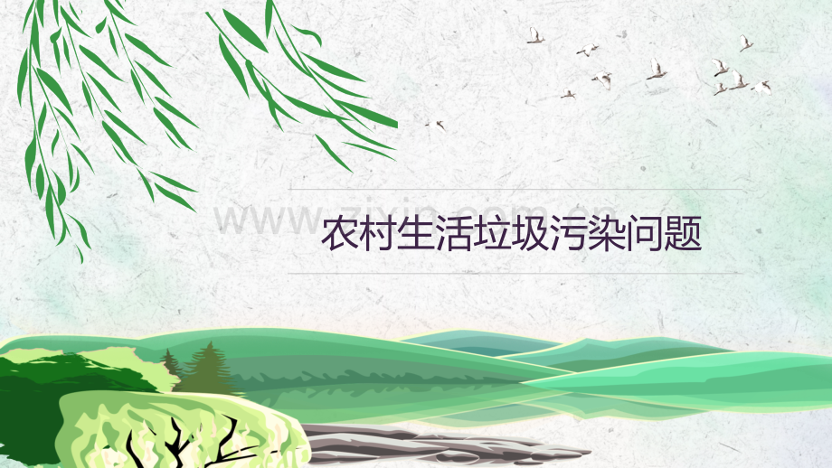 农村环境污染.pptx_第2页