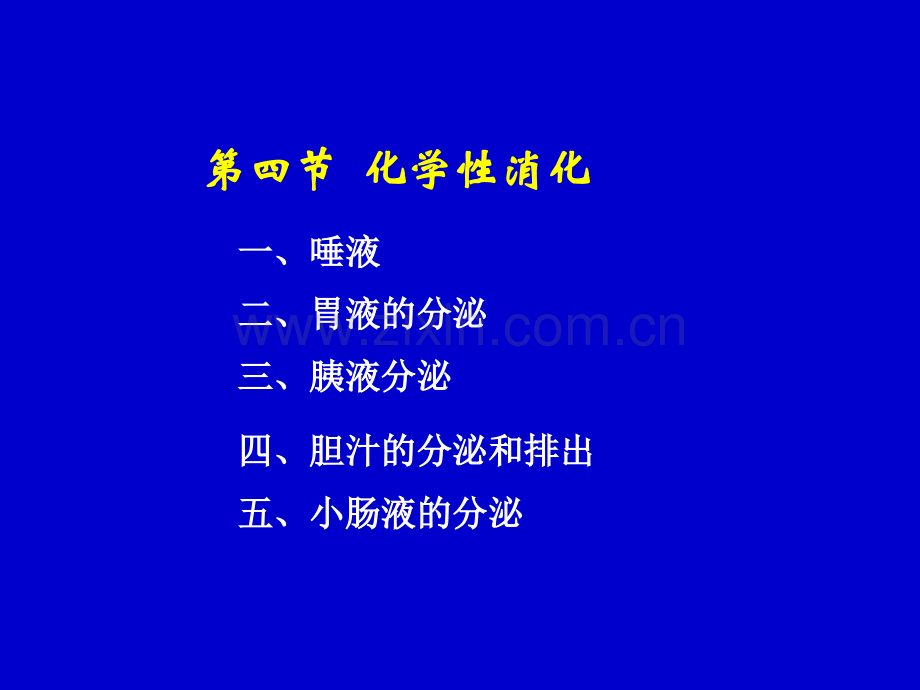 化学消化.pptx_第1页