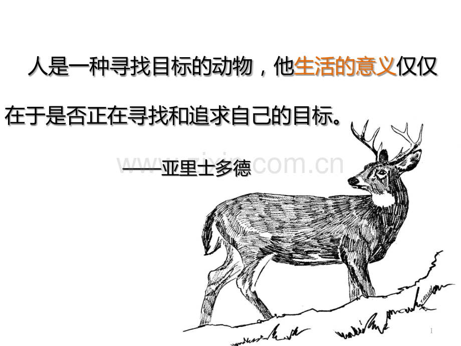 谈谈自己的大学规划.pptx_第1页