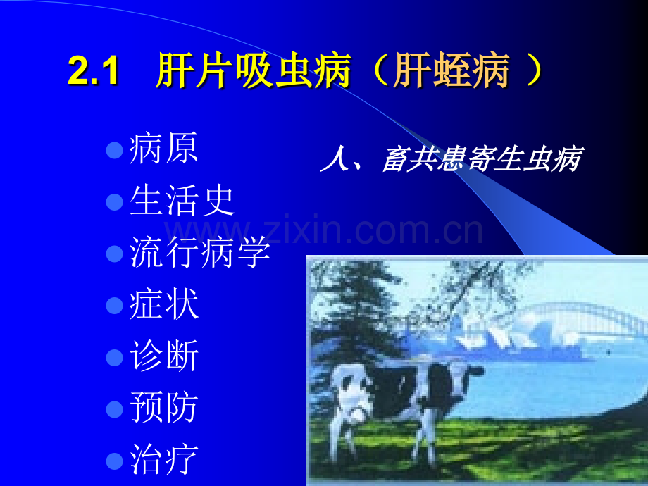牛羊病寄生虫病.pptx_第2页
