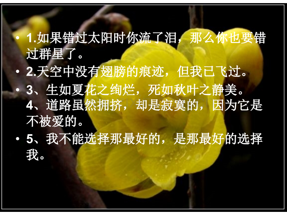 素芭分析.pptx_第1页