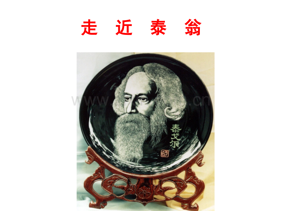 素芭分析.pptx_第2页