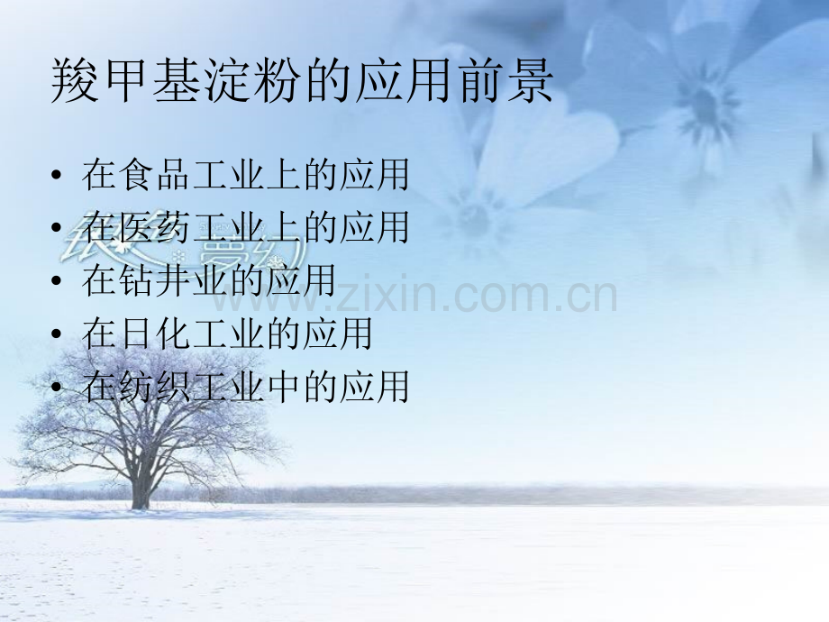 高粘羧甲基淀粉的干法制备.pptx_第2页