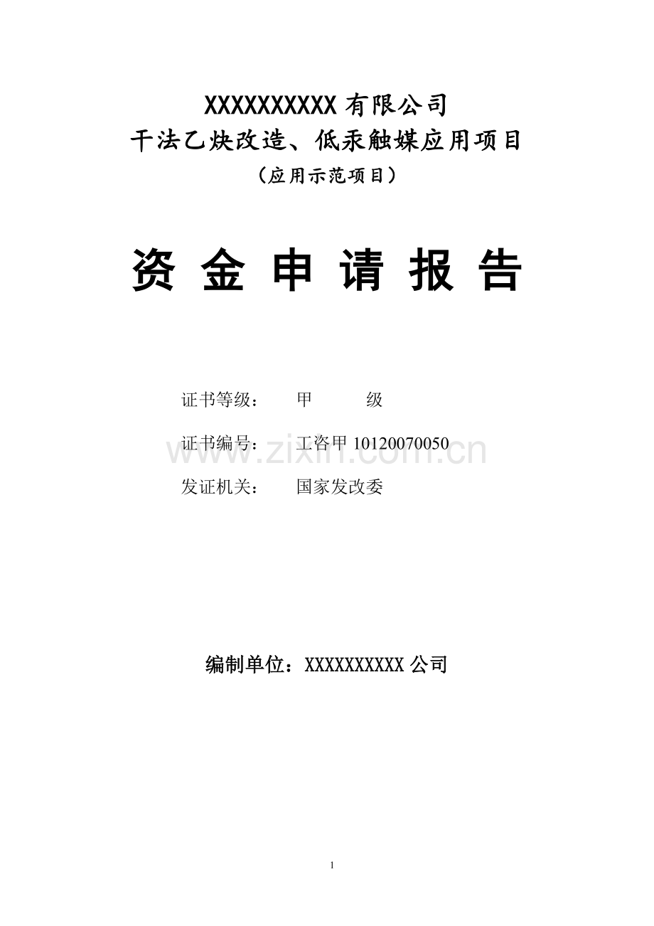 干法乙炔改造、低汞触媒应用项目资金申请报告.doc_第1页