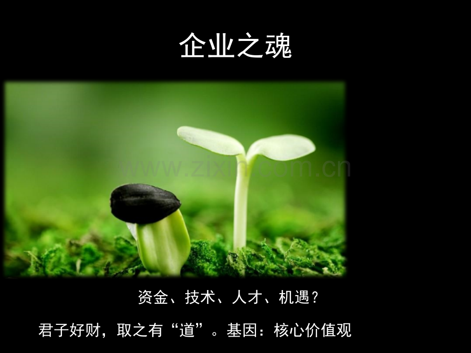 现代企业管理及启示.pptx_第2页