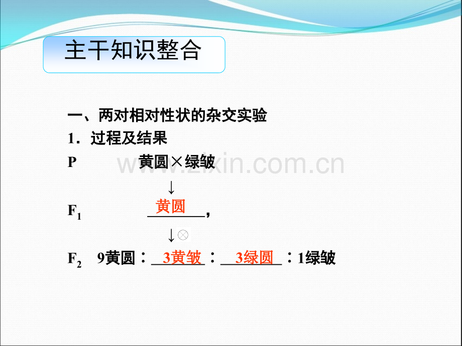 高三生物导学孟德尔豌豆杂交实验二.pptx_第2页