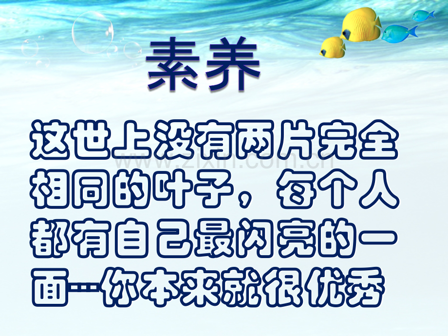 素养及团队协作.pptx_第1页