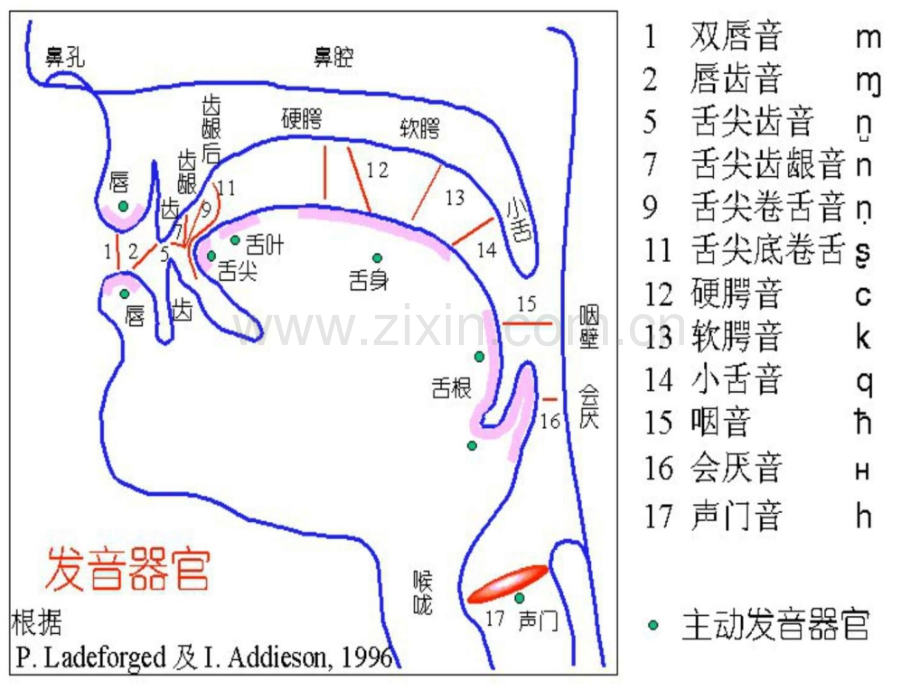 主持播音讲座.pptx_第2页