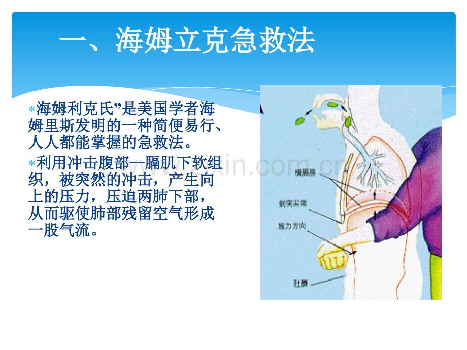 社区健康宣教.pptx_第1页