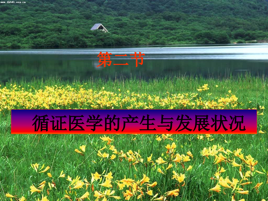 循证医学的产生与发展现状.pptx_第2页