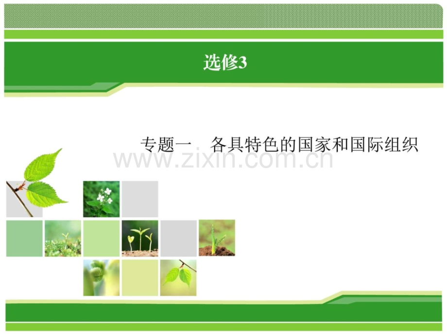 专题1各具特色的国家和国际组织.pptx_第1页