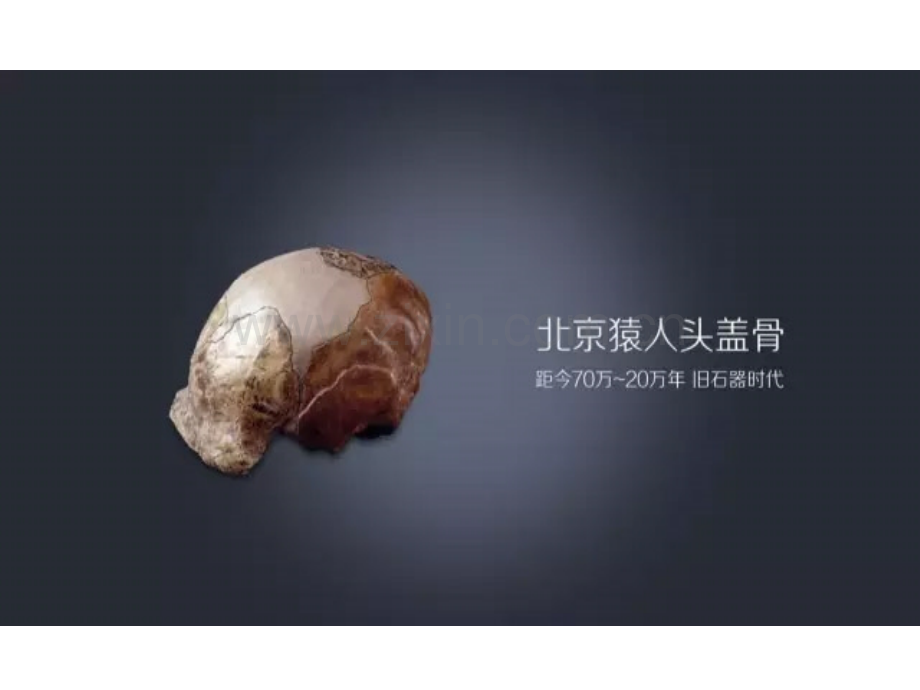 进击的智人人类简史.pptx_第2页