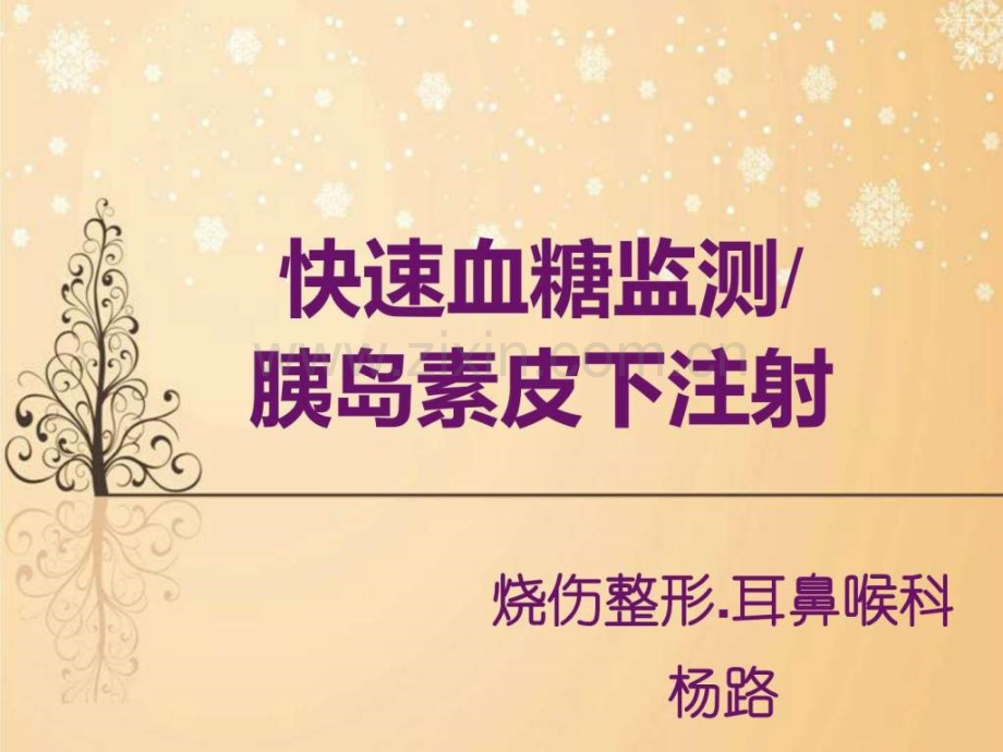 快速血糖监测皮下注射图文.pptx_第1页