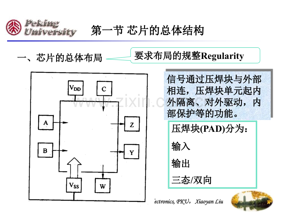 芯片的输入输出结构.pptx_第1页