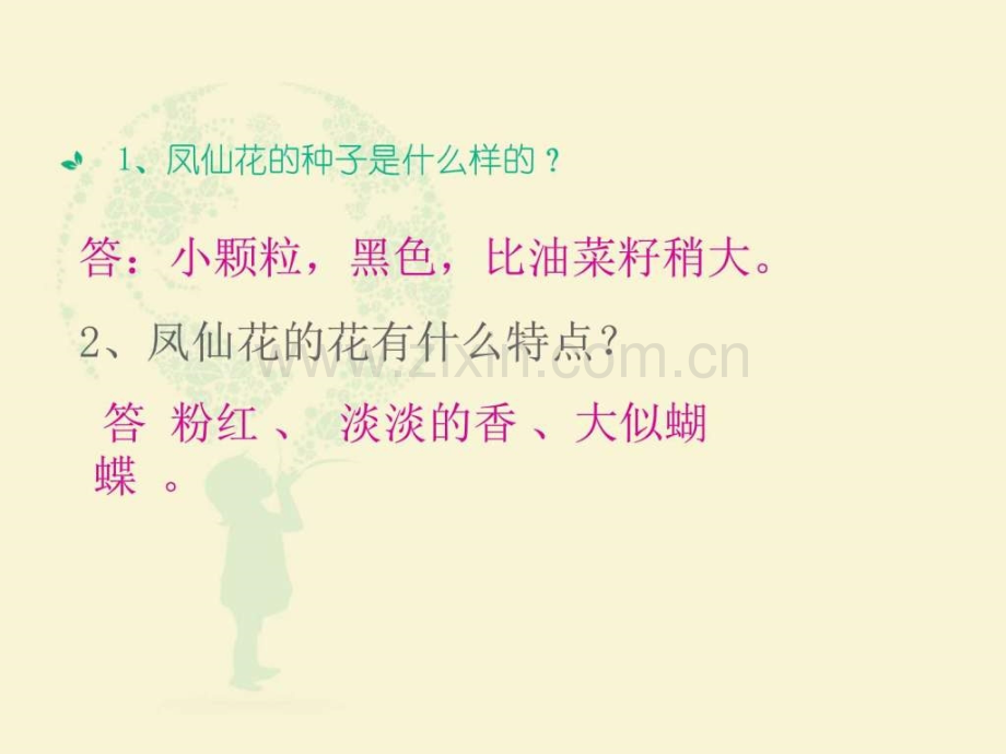 鄂教版三年级科学下册复习图文.pptx_第2页