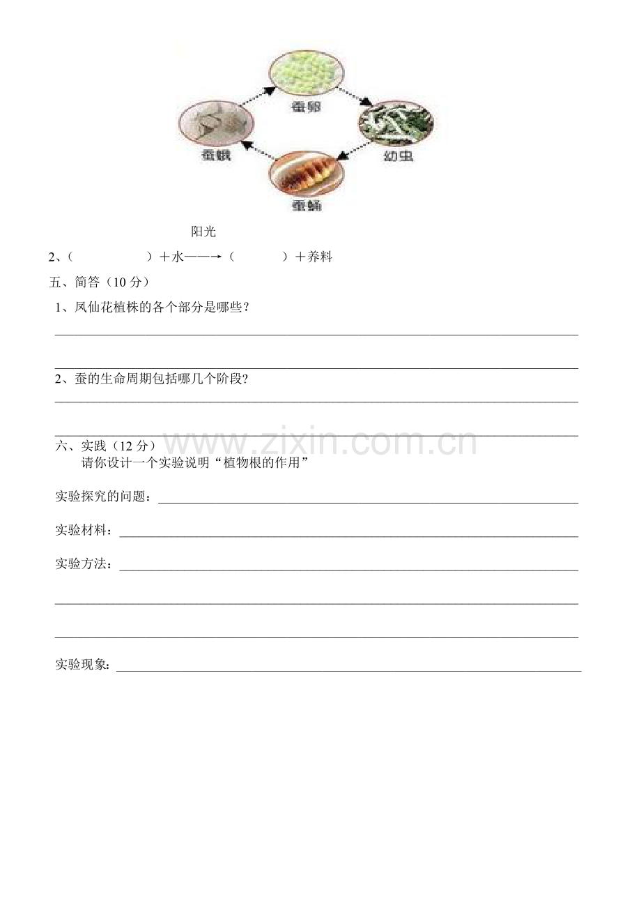 科学半期检测试题.doc_第2页