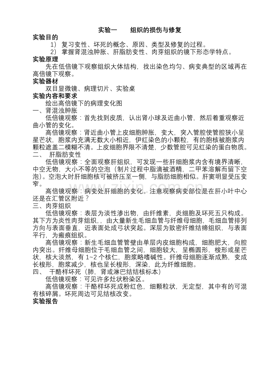 病理学实验教案.doc_第2页
