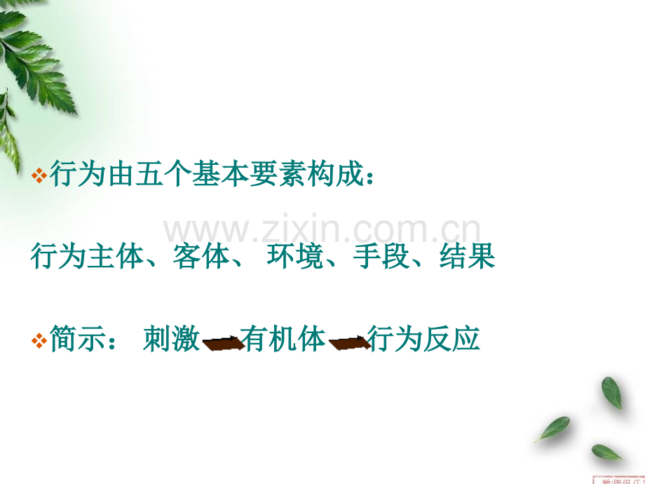 基本行为与摄食行为.pptx_第2页