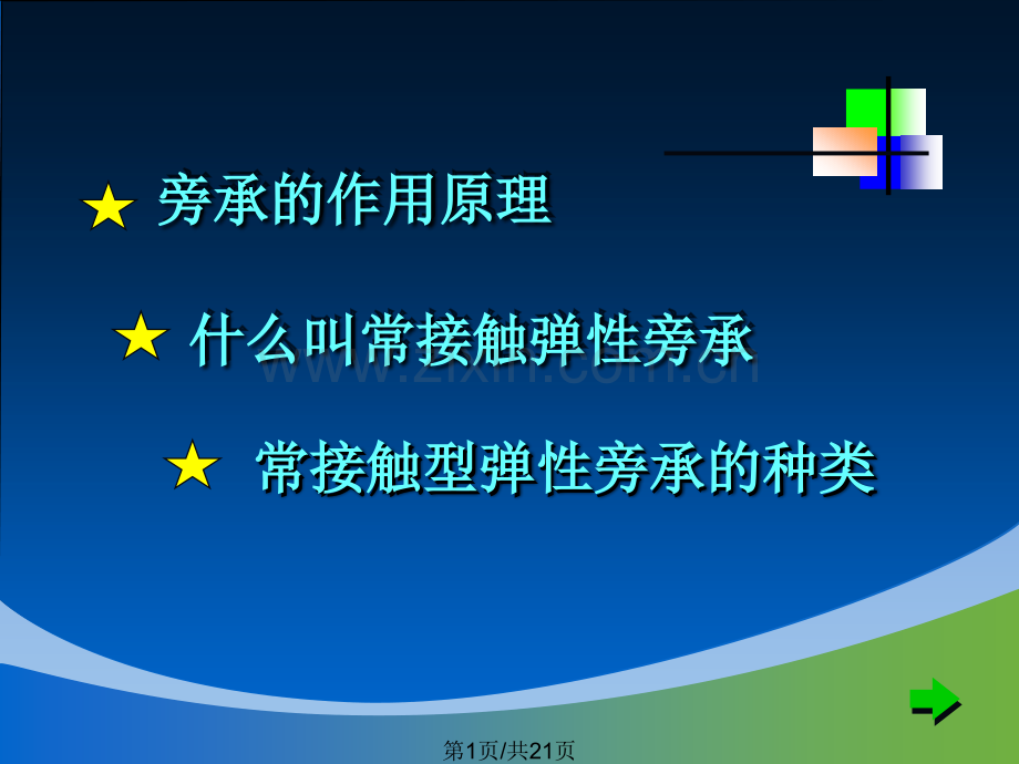 弹性旁承多媒体件.pptx_第1页