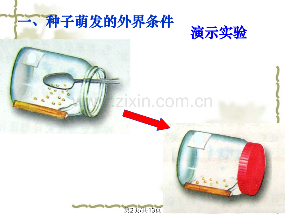一种子萌发.pptx_第2页