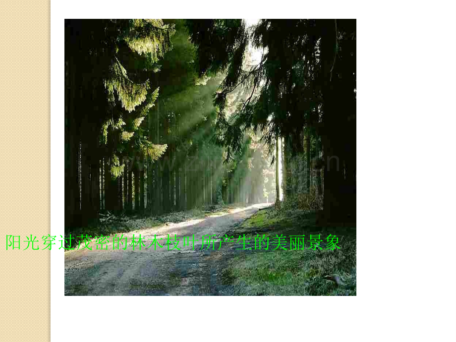 化学胶体鲁科版必修.pptx_第2页