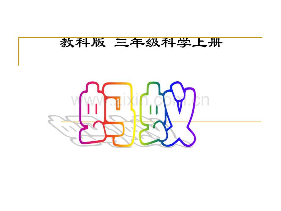三年级科学上蚂蚁课件.pptx_第1页