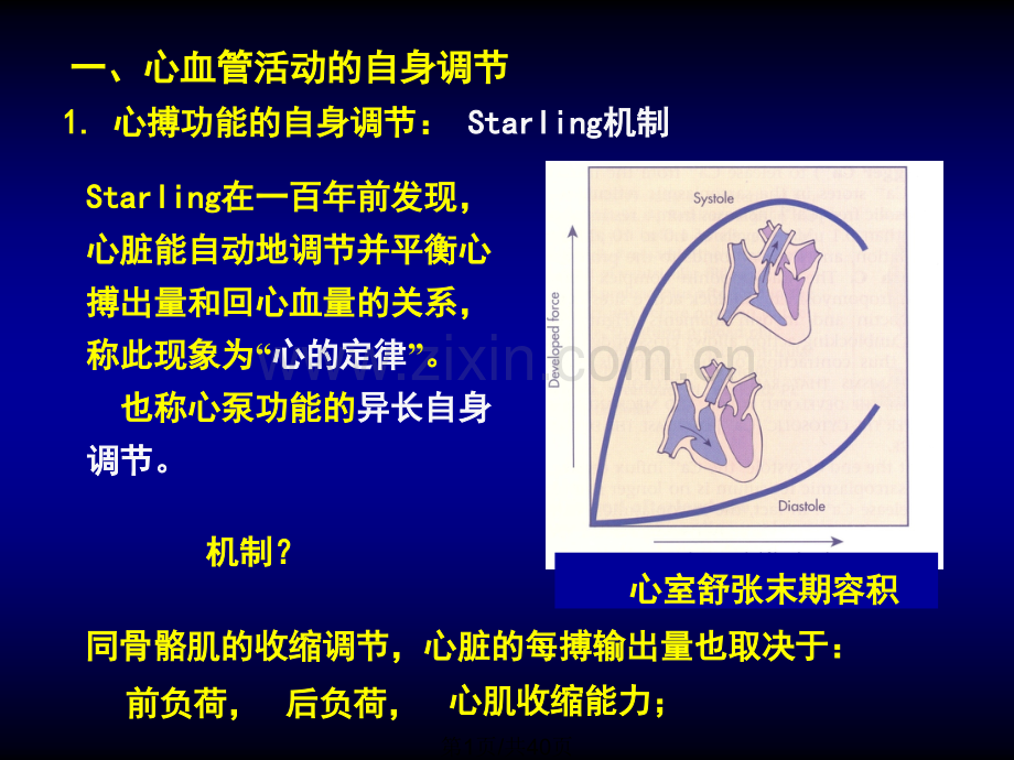 五心血管活动调.pptx_第1页