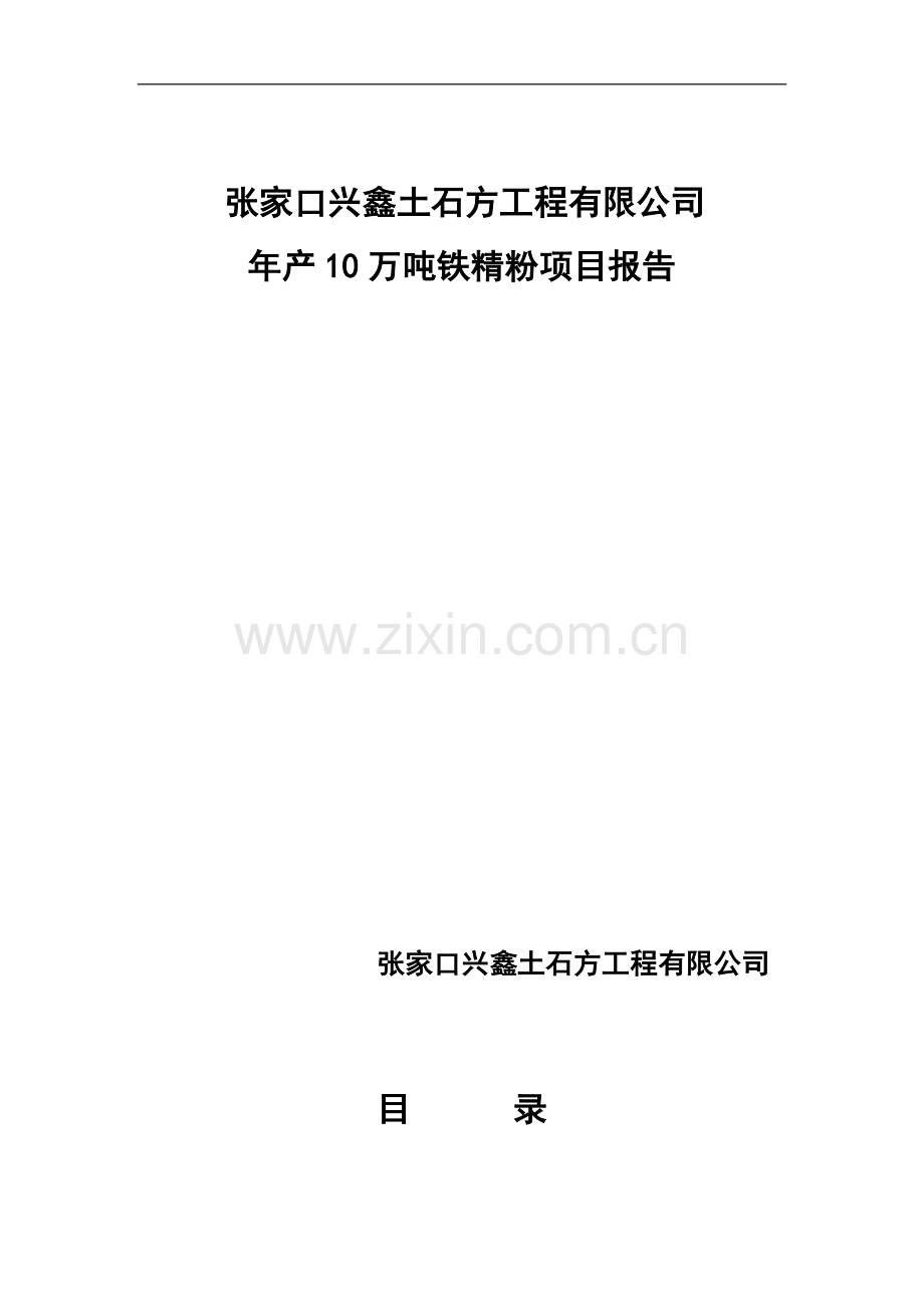年产10万吨铁精粉项目可行性研究报告.doc_第1页