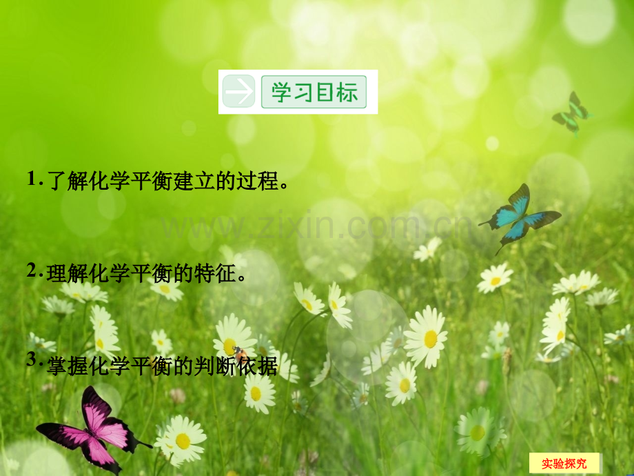 全国百强校广东省湛江第一中学四导课堂公开课高考化学复习化学平衡状态.pptx_第2页