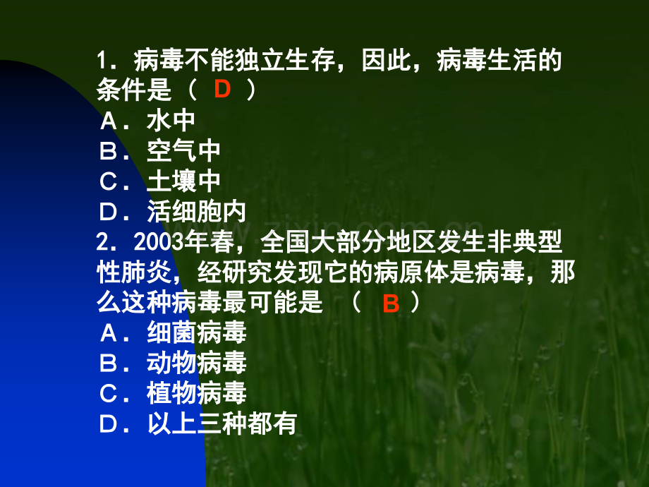 初中教育微生物在生物圈中作用.pptx_第1页