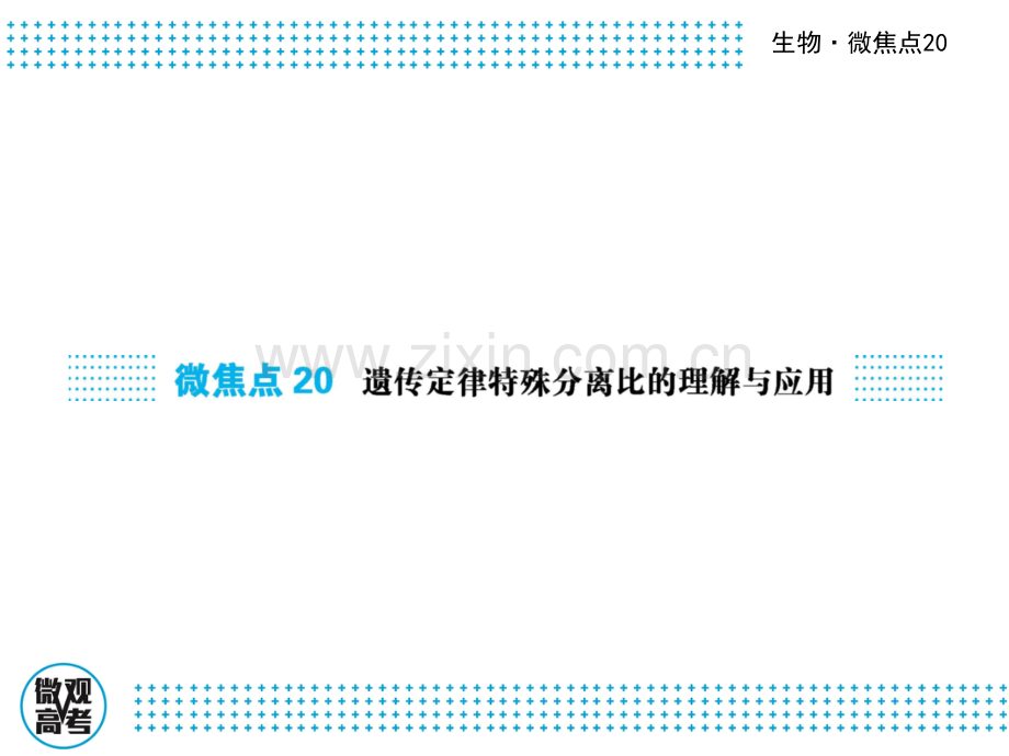 高三生物二轮复习课件微焦点20遗传定律特殊分离比的理解与应用共41张.pptx_第1页