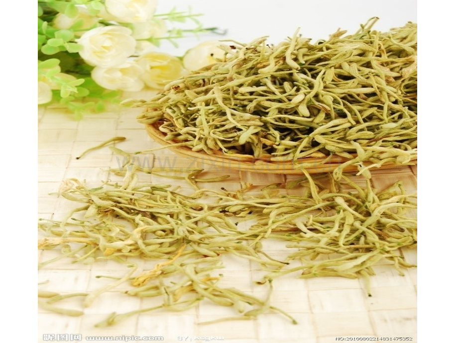 金银花青蒿3337.pptx_第2页