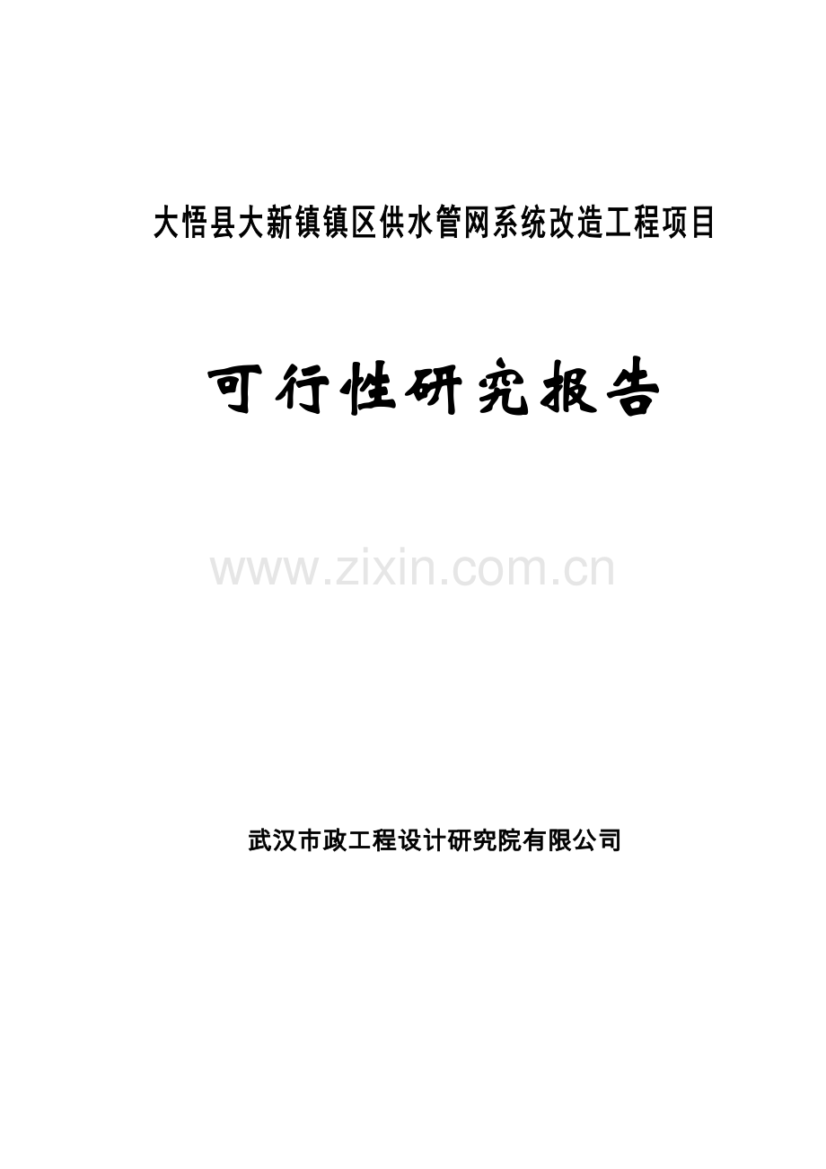 镇区供水管网系统工程项目可行性研究报告.doc_第1页