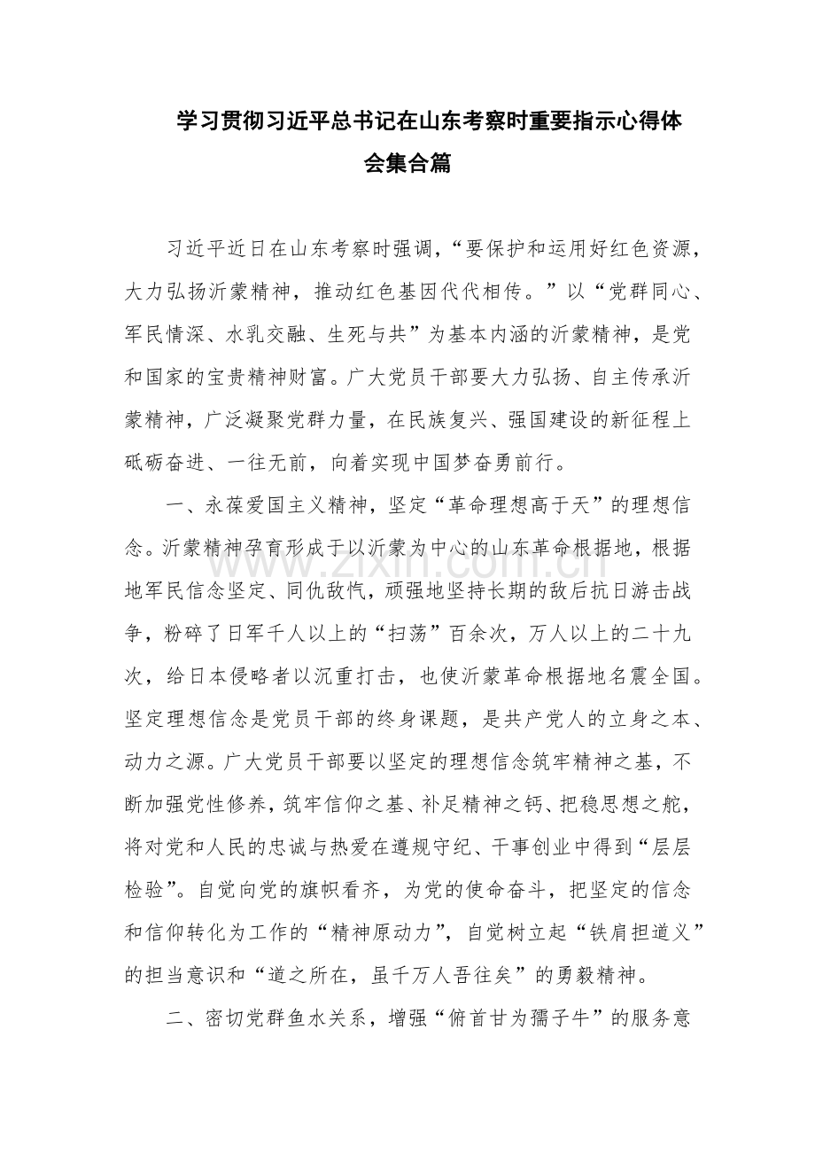 学习贯彻习近平总书记在山东考察时重要指示心得体会集合篇.docx_第1页