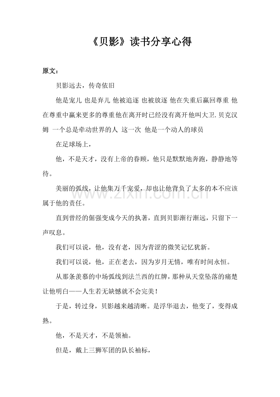 《贝影》读书分享心得.doc_第1页
