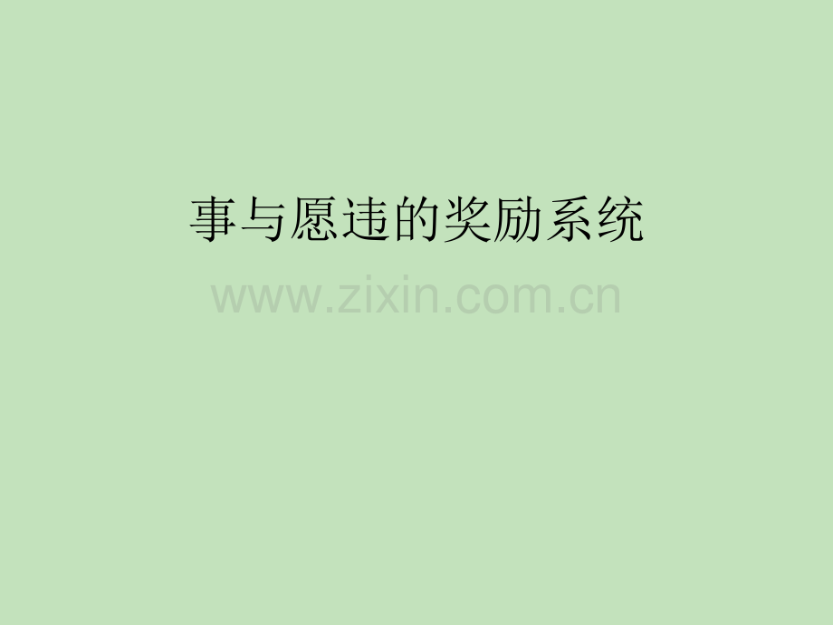 事与愿违的奖励系统课件教学教程.ppt_第1页