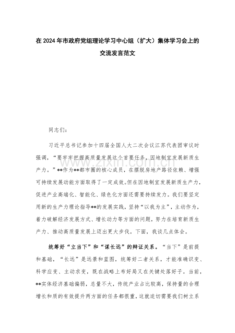 在2024年市政府党组理论学习中心组（扩大）集体学习会上的交流发言范文.docx_第1页